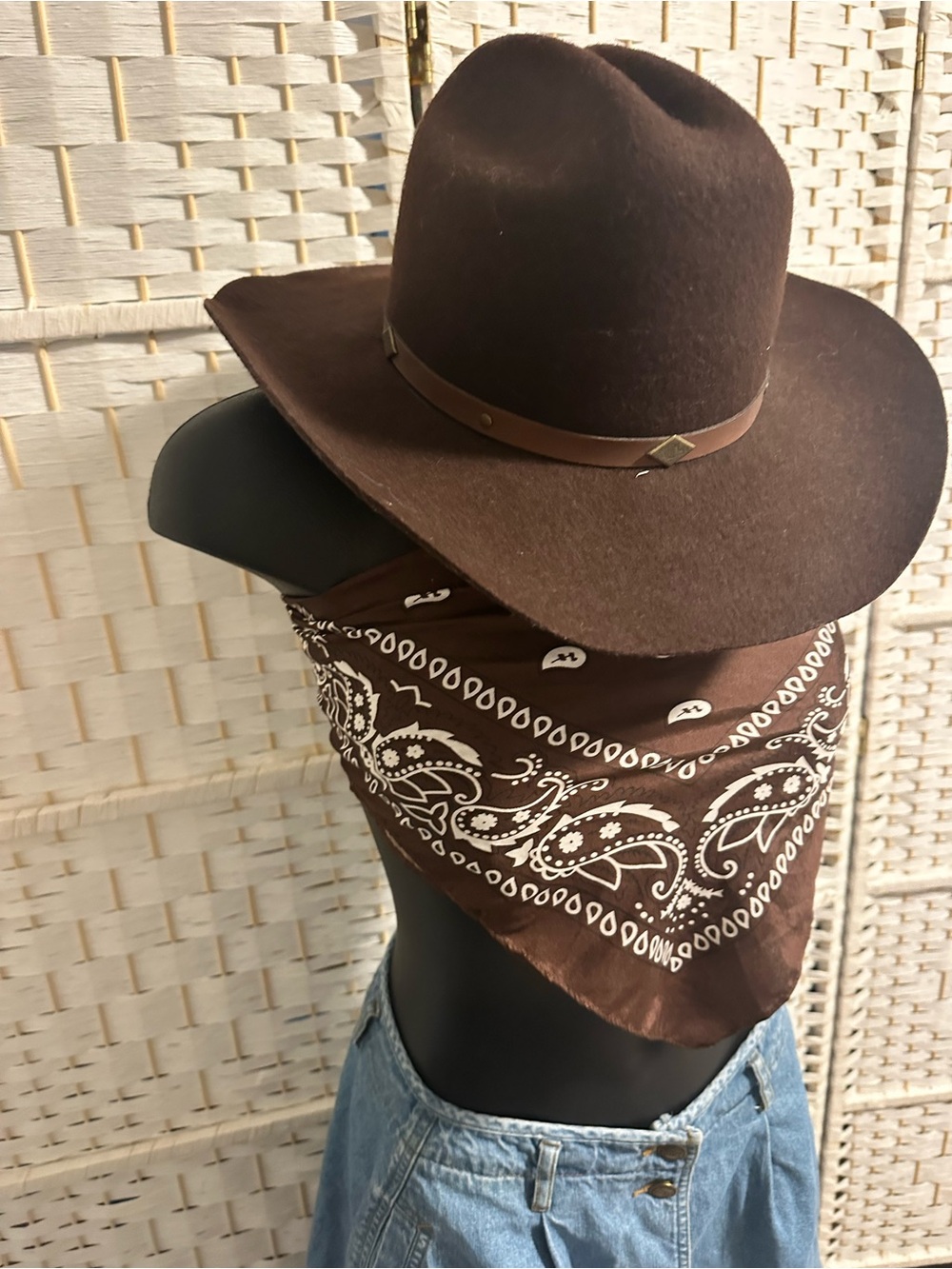 Stetson Dark Brown Felt Western Hat with Brown Paisley Bandana